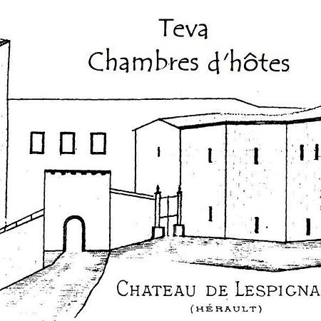 Teva Bed & Breakfast Lespignan Exterior foto